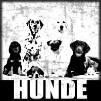 Hunde