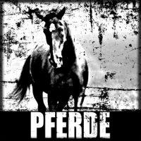 Pferde