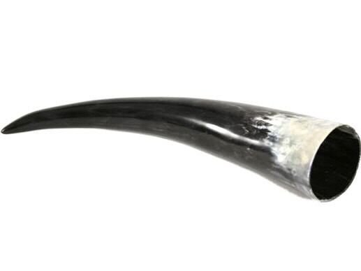 Trinkhorn Methorn echtes Horn