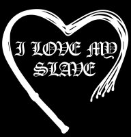 I love my S - Ladyshirt Shades Grey Gef&auml;hrliche...