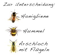 Arschloch mit Fl&uuml;gel - Tshirt Wespe Imker Bienen Spass Lustig Funshirt 2XL